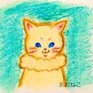 あおねこ*